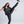 Load image into Gallery viewer, Momentum Denim Lion Crest, Women's Skinny