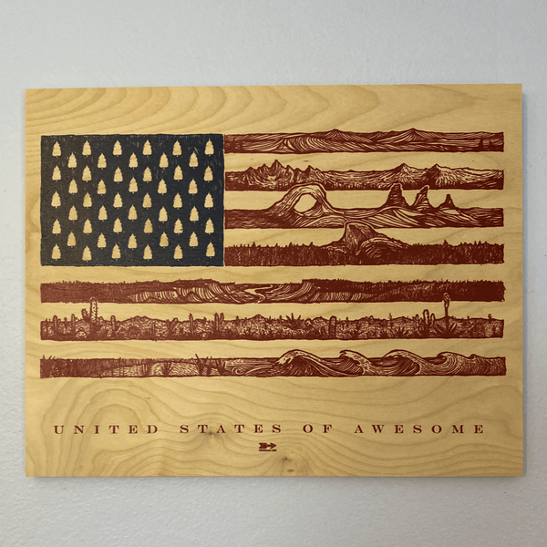 US of Awesome Wood Print